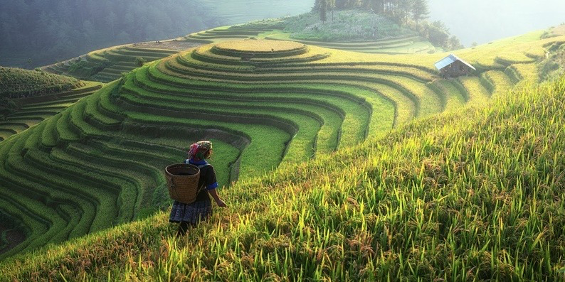 Agri4