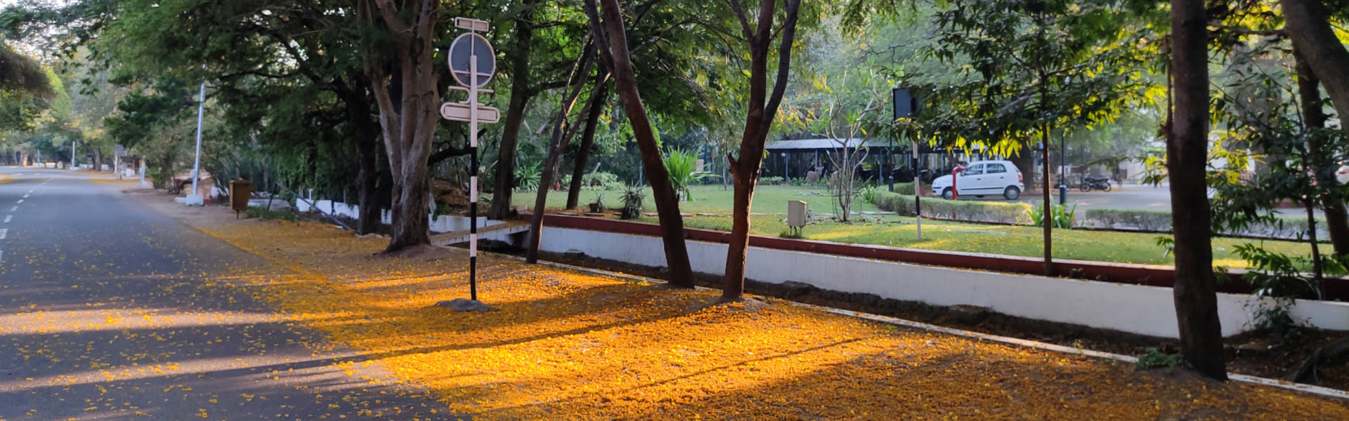 IIT Madras joins Hedera Governing Council