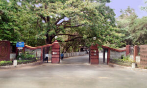 Executive MBA programme: Regn open till great October 19