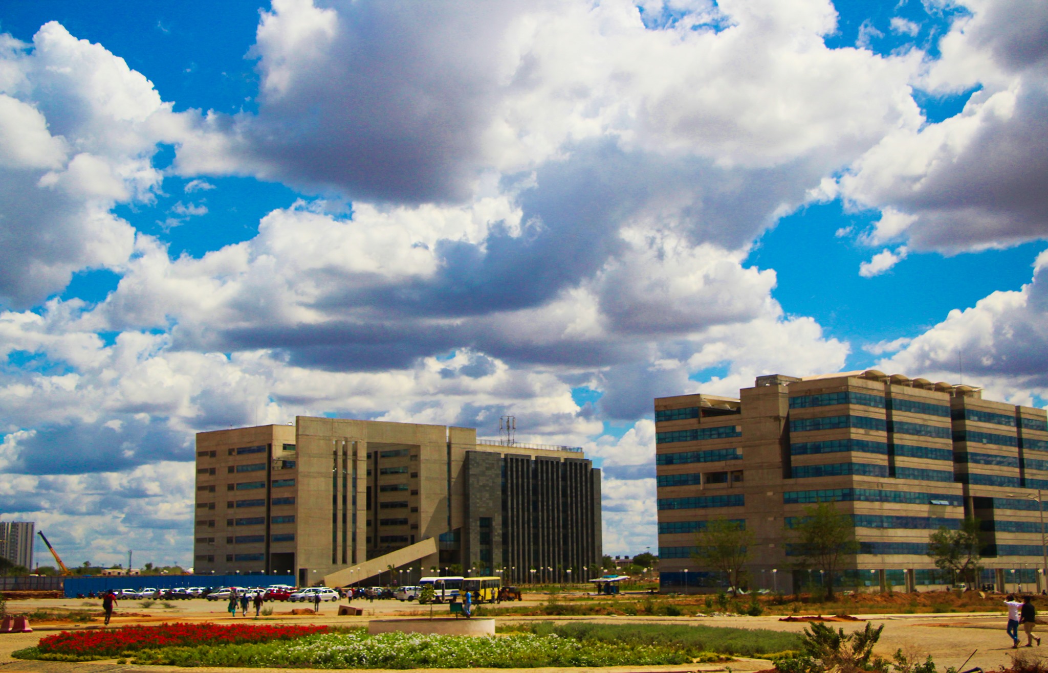BTech Biotechnology and Bioinformatics