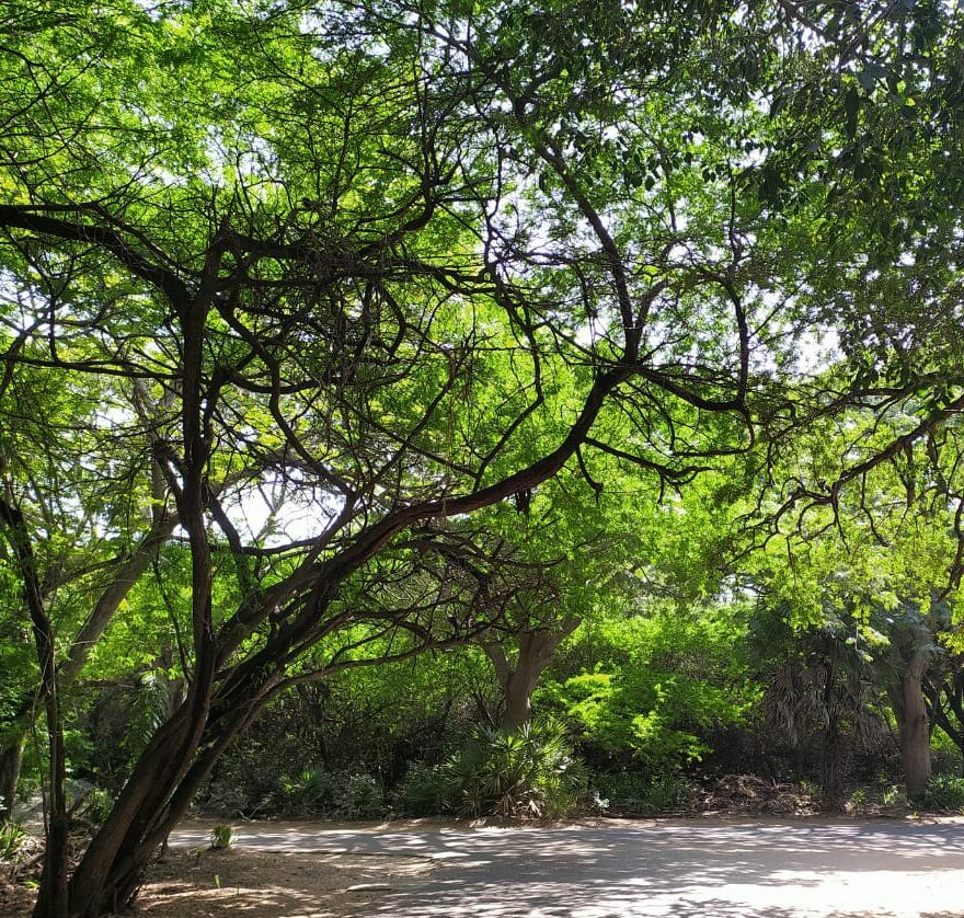 IIT Madras EMBA Admission 2022