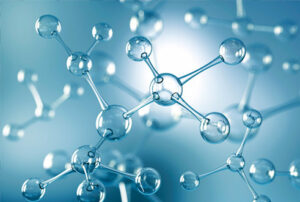 Top 20 colleges for MSc Biotechnology in India