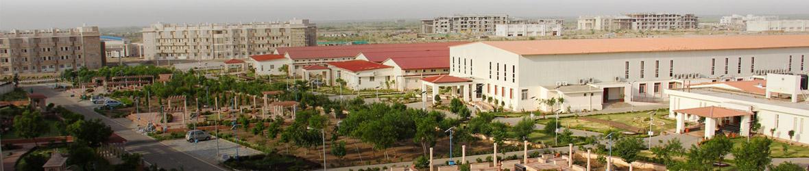 Top 20 colleges for MSc Biotechnology in India