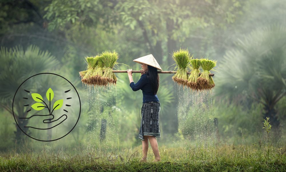 Top 20 MSc Agriculture colleges in Rajasthan Latest List 2023