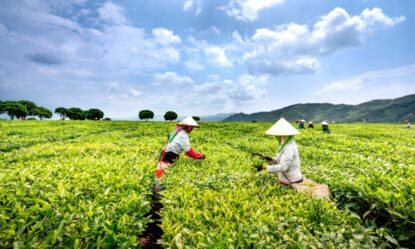 Top BSc Agriculture Colleges in Haryana