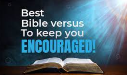 Bible Insights for Students: 15 Verses for Academic and Professional Success