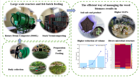 IIT Guwahati researchers bring out sustainable solutions