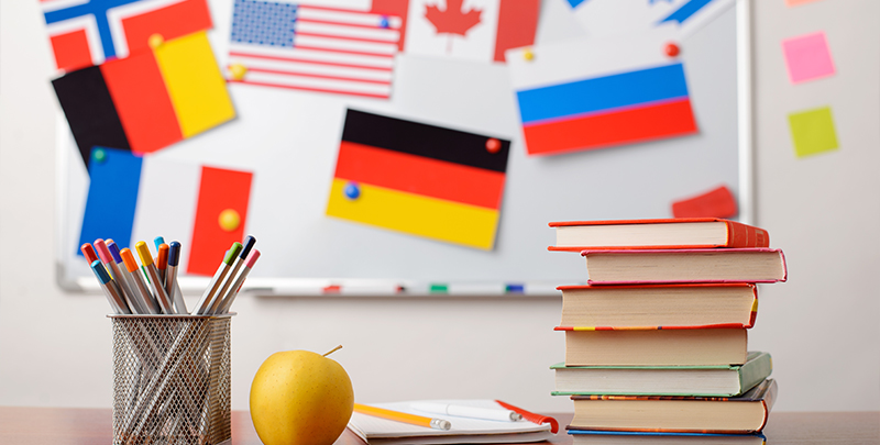 Career Options in Foreign Language 2024