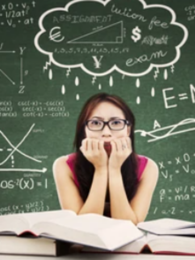 CBSE Board Economics 2024: Key Topics