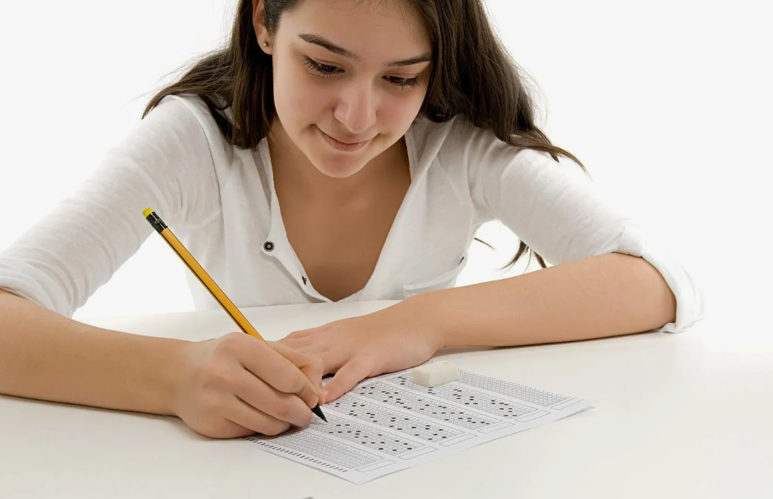 Csir Net Notification 2024 Exam Dates, Application Process, Eligibility, And More