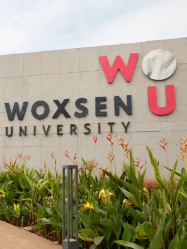 WOXSEN SUMMER PROGRAM 2024