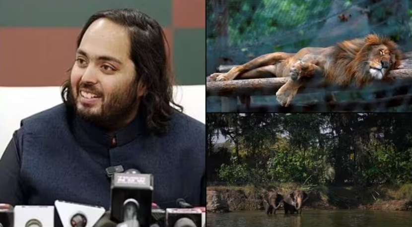 Vanatara.....