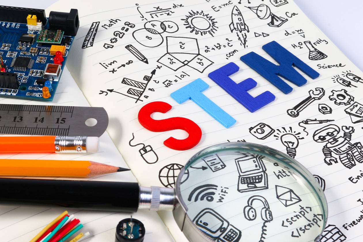 Stem 03 (1)
