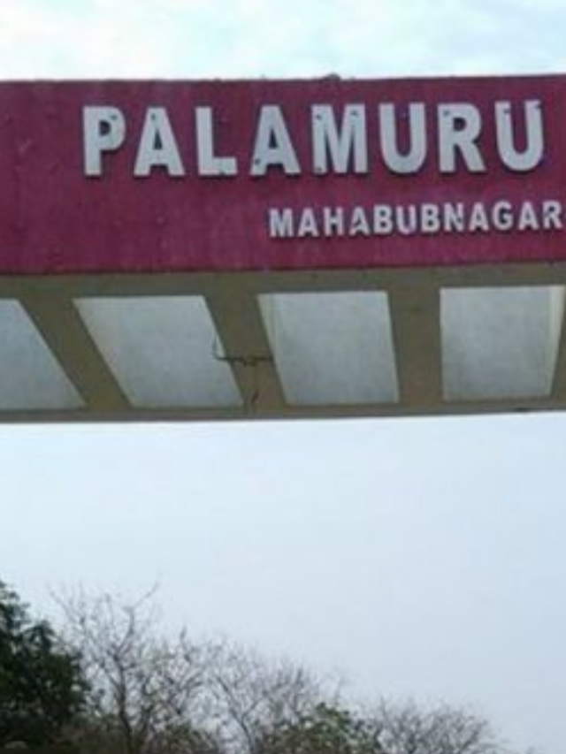 Palamuru University Result 2024