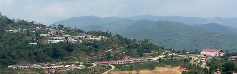 Nagaland University Researchers’ uncover great strategies