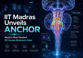 IIT Madras Unveils ANCHOR: World’s Most Detailed 3D Human Brainstem Atlas