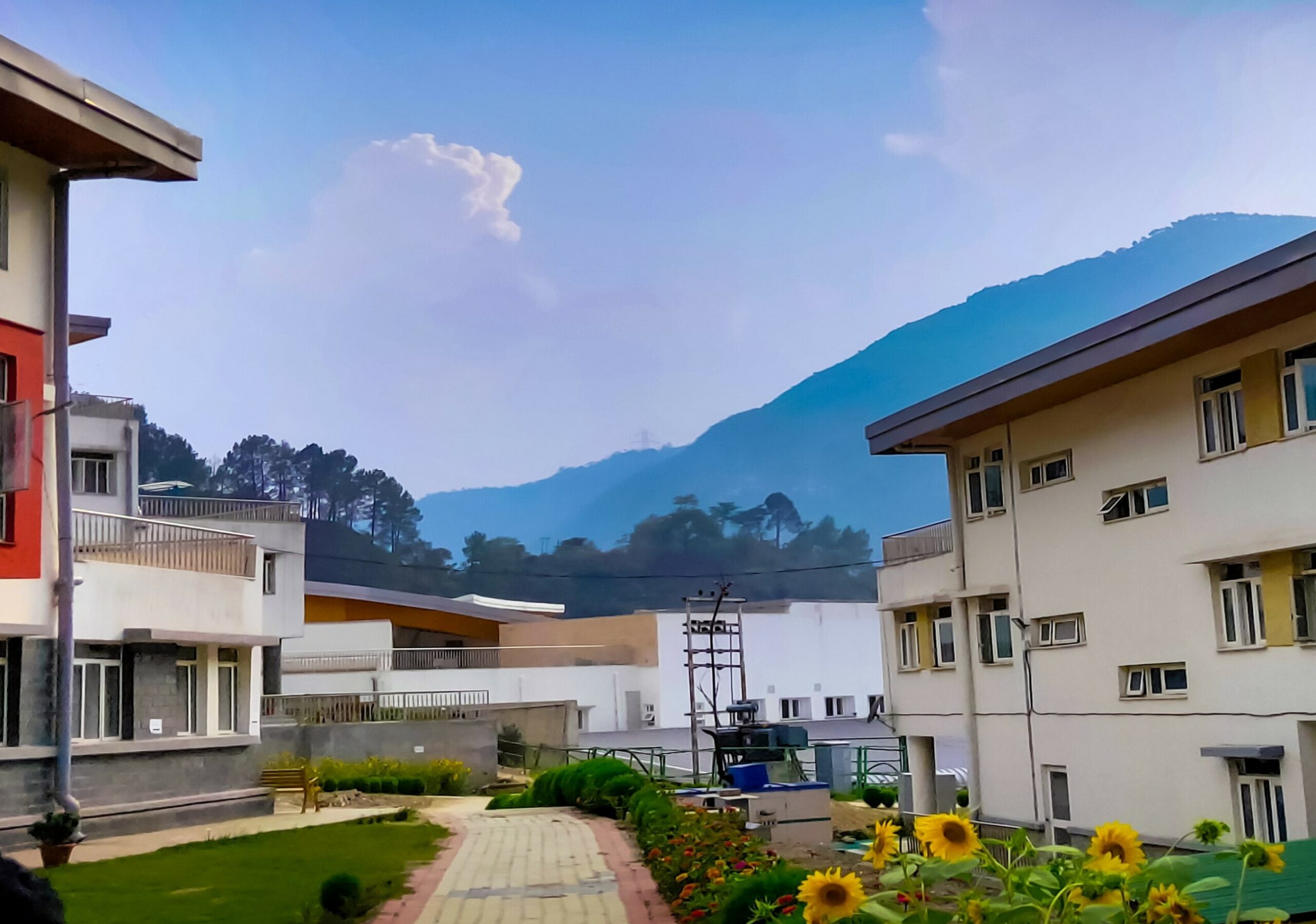 IIT Mandi Catalyst