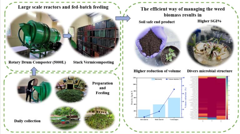 IIT Guwahati researchers bring out sustainable solutions