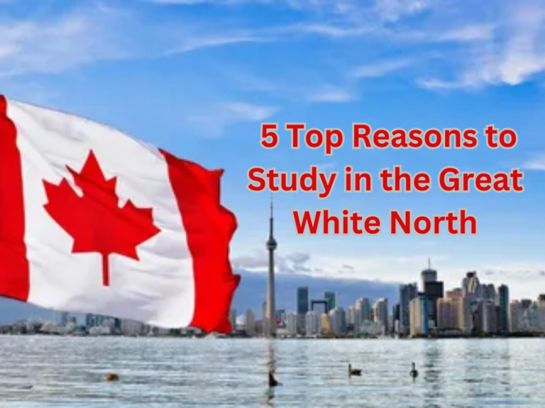 Why 427,000+ Indians Chose Canada: 5 Top Reasons to Study in the Great White North