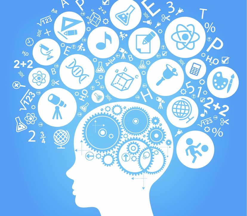 JEE Mains 2021 Feb exam