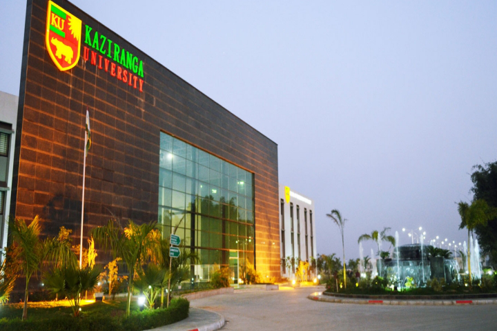 top 20 university in Assam