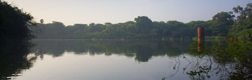 Masters programme in EVs