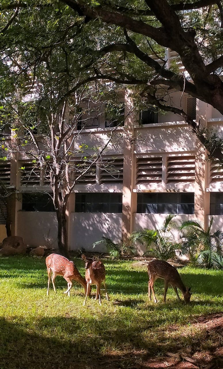 IIT Madras