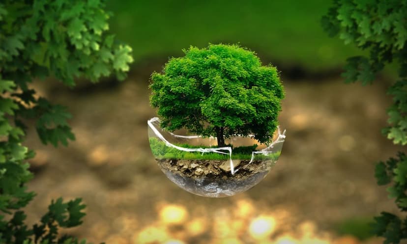 Life Hacks in Colleges