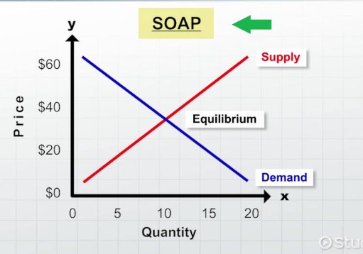 Cbse Economics Exams 2024.....