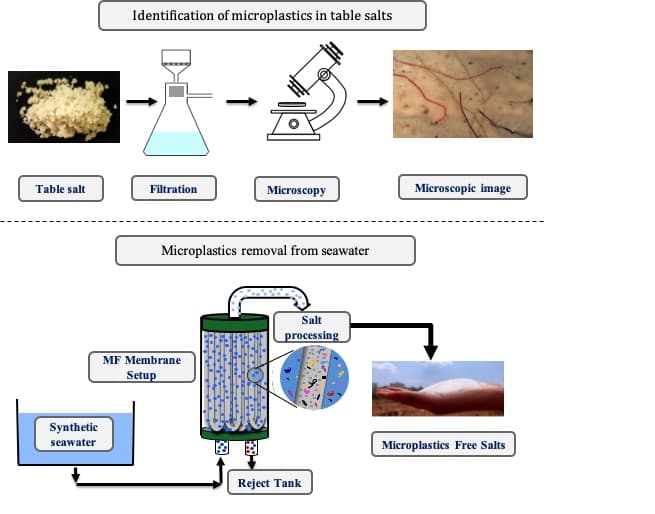 IIT Guwahati researchers develop great microfiltration process IIT Guwahati researchers develop great microfiltration process