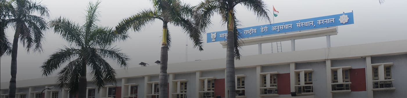 National Dairy Research Institute NDRI is a great place to study Dairy Sciences National Dairy Research Institute NDRI is a great place to study Dairy Sciences