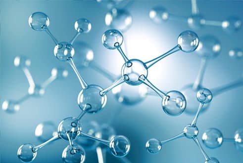 Top 20 colleges for MSc Biotechnology in India Top 20 colleges for MSc Biotechnology in India