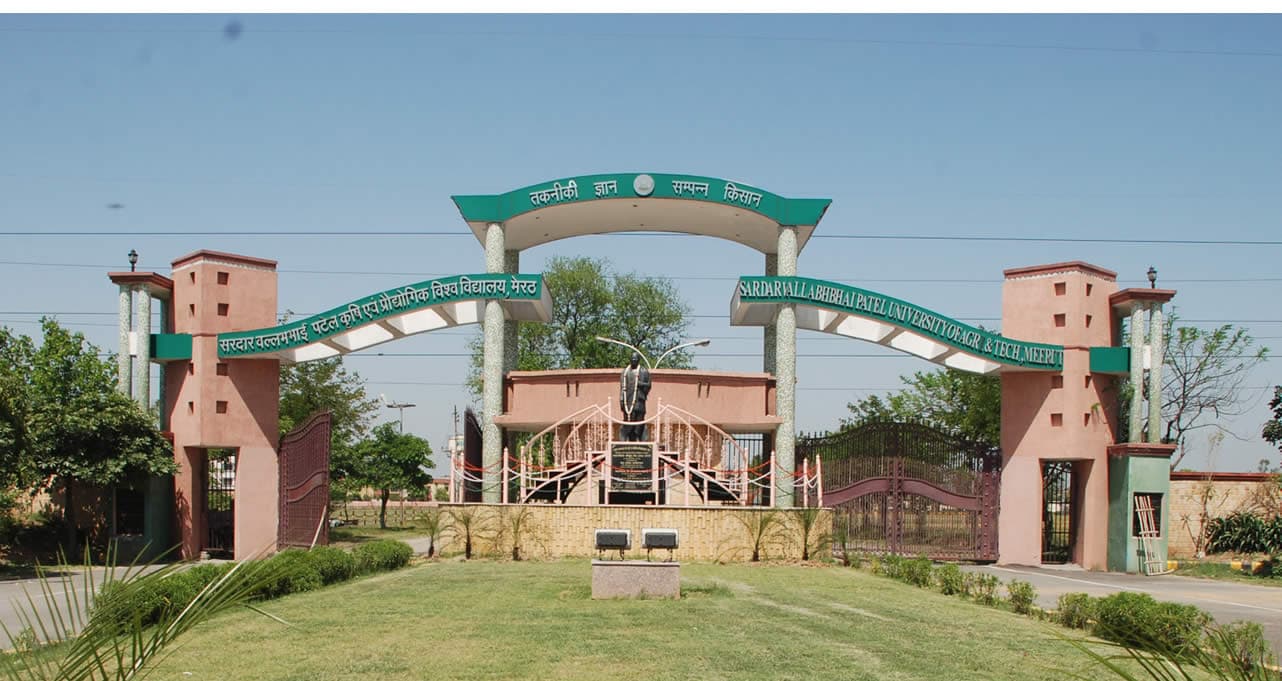 SVPUAT Recruitment 2023: Apply till 18 Oct 23, direct link to apply here SVPUAT Recruitment 2023: Apply till 18 Oct 23, direct link to apply here