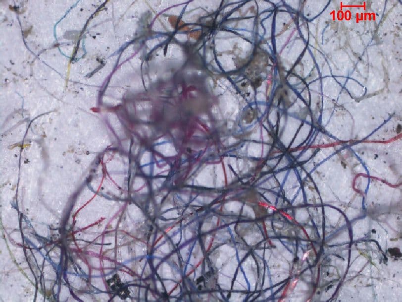 IIT Madras review identifies residential houses as major point of sources for microplastics pollution IIT Madras review identifies residential houses as major point of sources for microplastics pollution