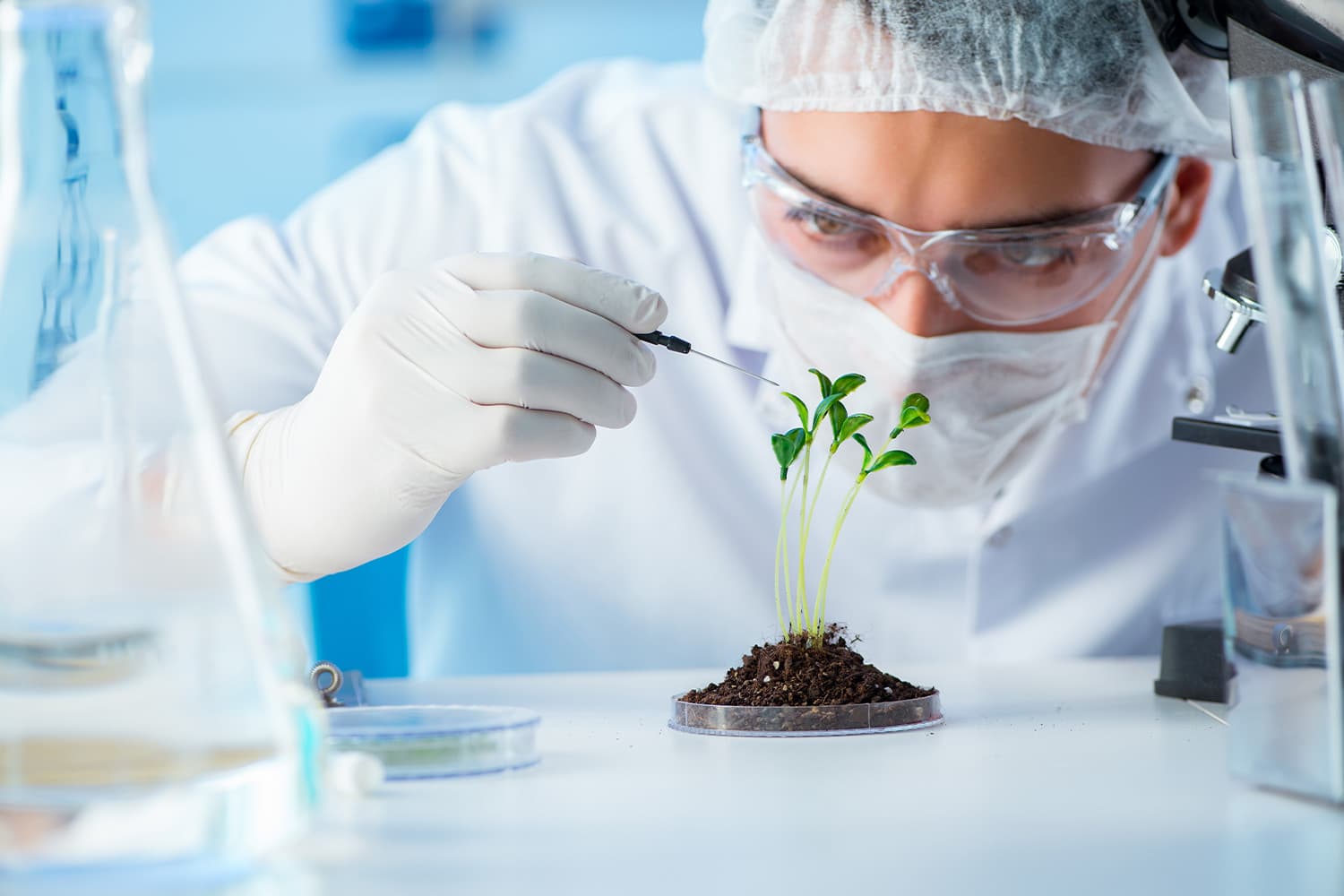 Career Options in Biotechnology Engineering 2024 Career Options in Biotechnology Engineering 2024
