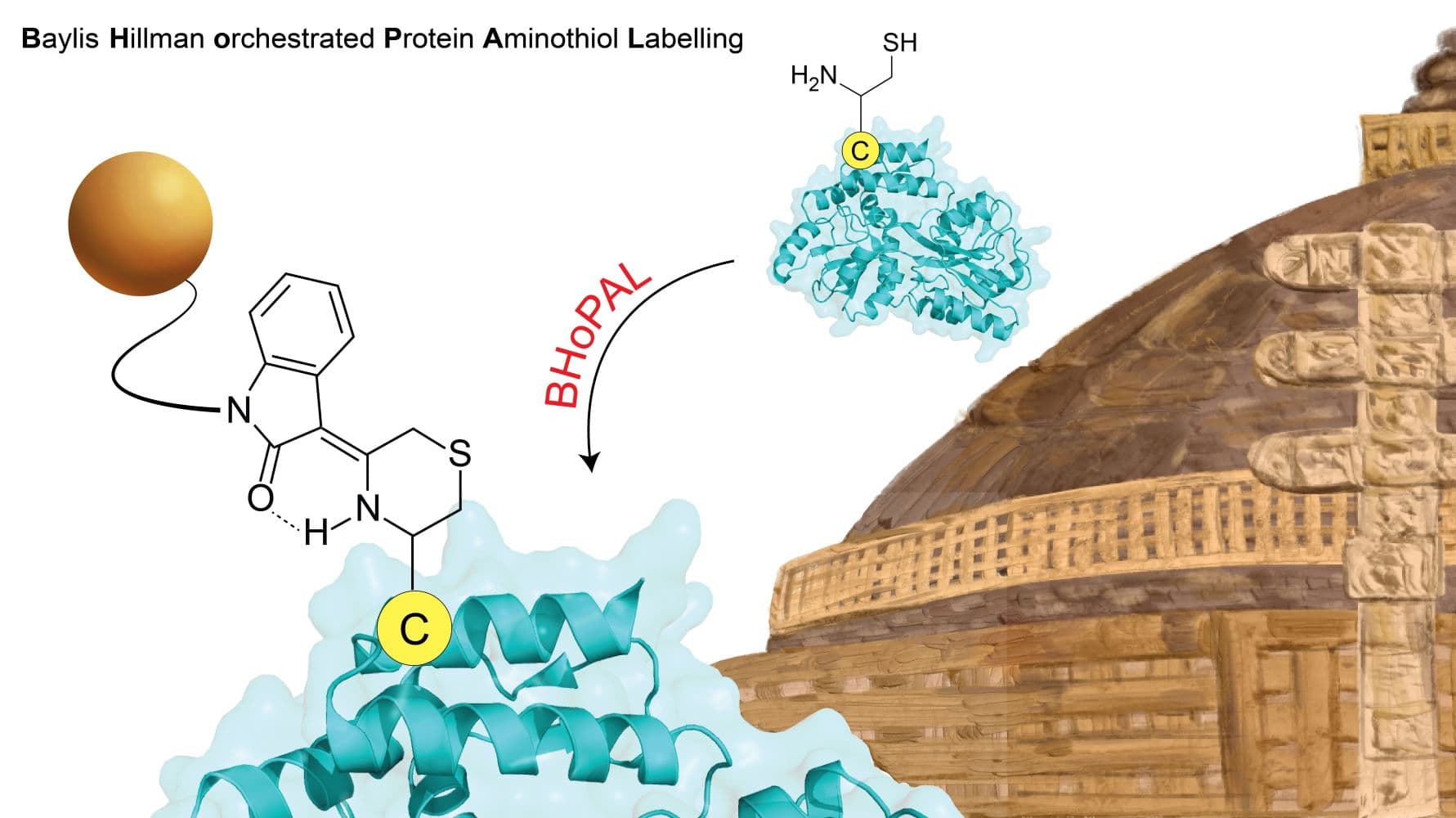 IISER Bhopal develops convenient strategy IISER Bhopal develops convenient strategy