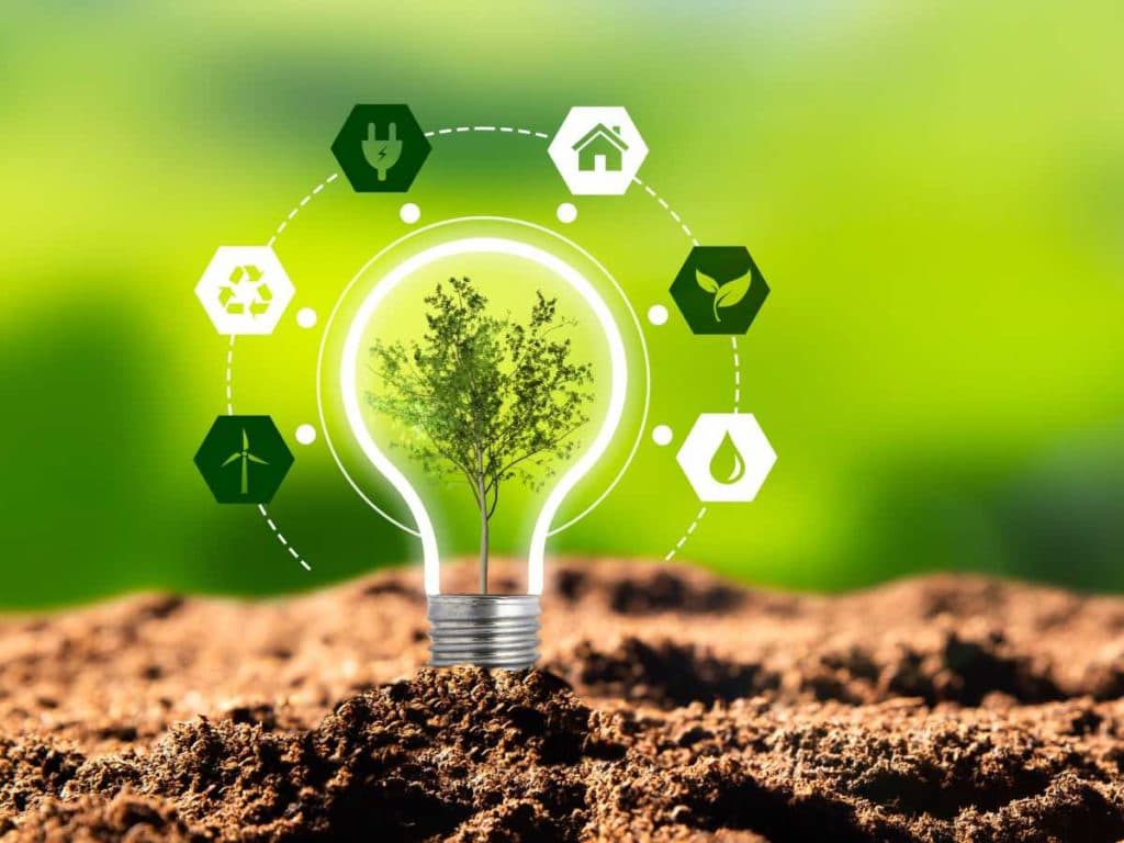 Career Options in Environmental Science 2024 Career Options in Environmental Science 2024