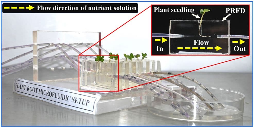 IIT Guwahati researchers use microfluids to study IIT Guwahati researchers use microfluids to study