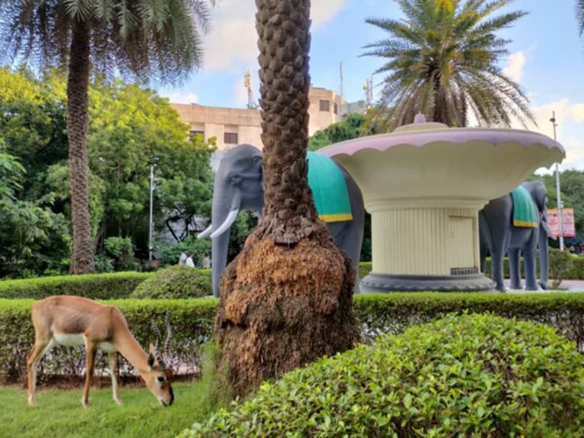 IIT Madras professors get great award IIT Madras professors get great award