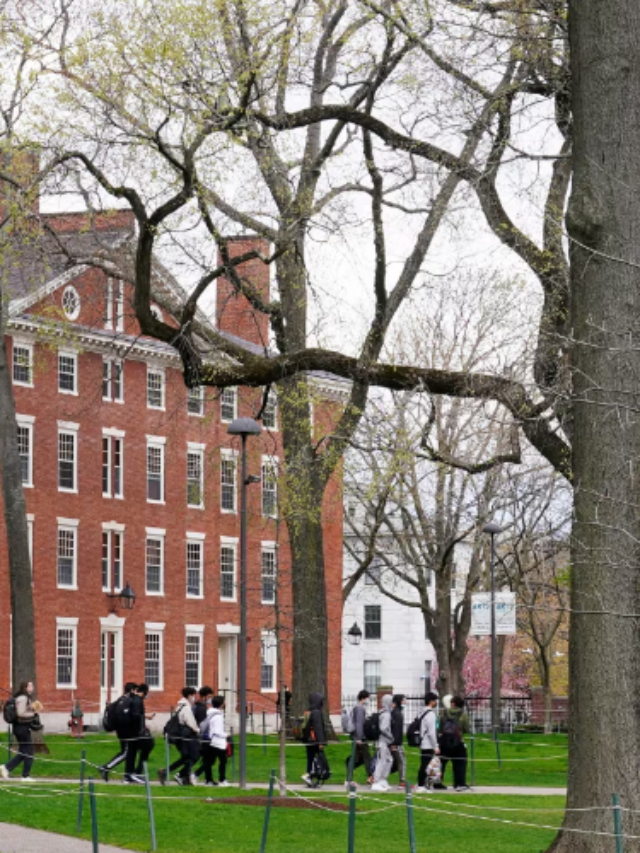 FREE TECH SKILLS FOR ALL: 10 TOP COURSES FROM HARVARD UNIVERSITY