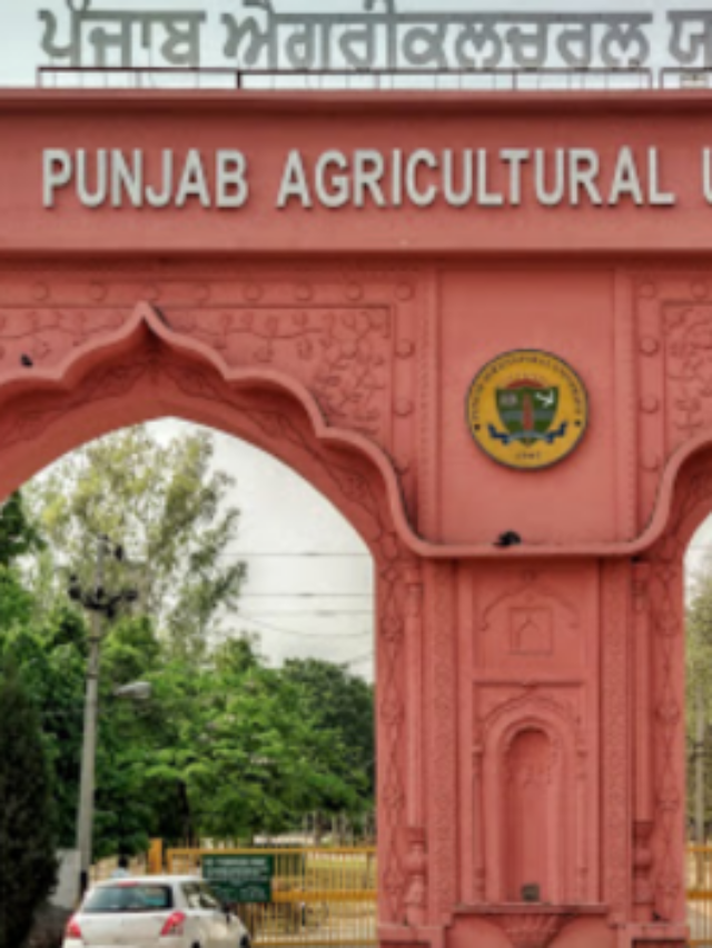 Exploring Excellence: Top 05 BSc Colleges In Punjab